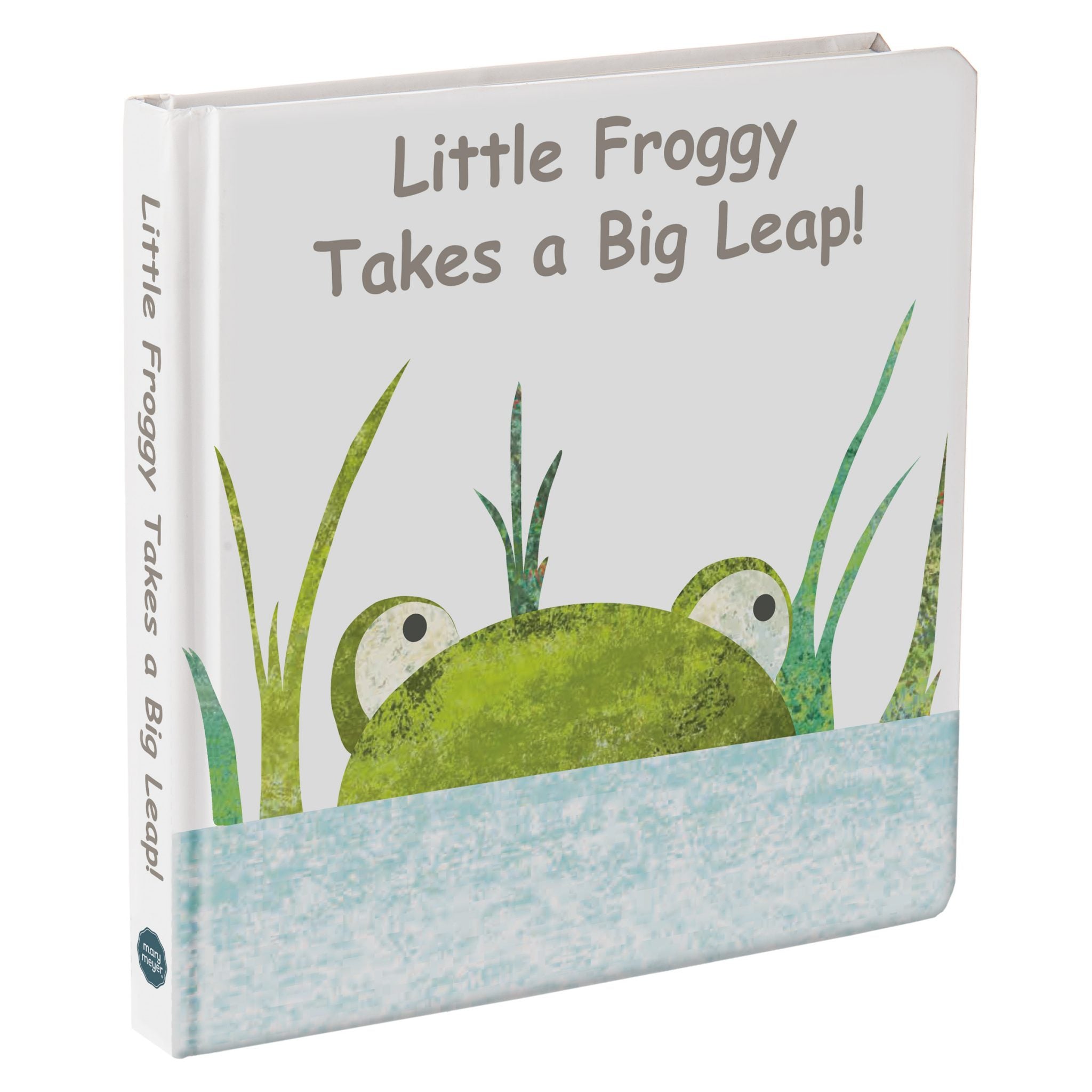 Mary Meyer Little Froggy Takes a Big Leap Book
