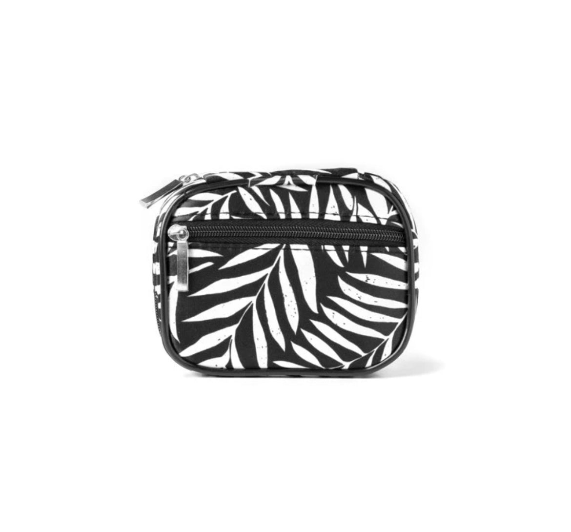 Pill and Vitamin Case