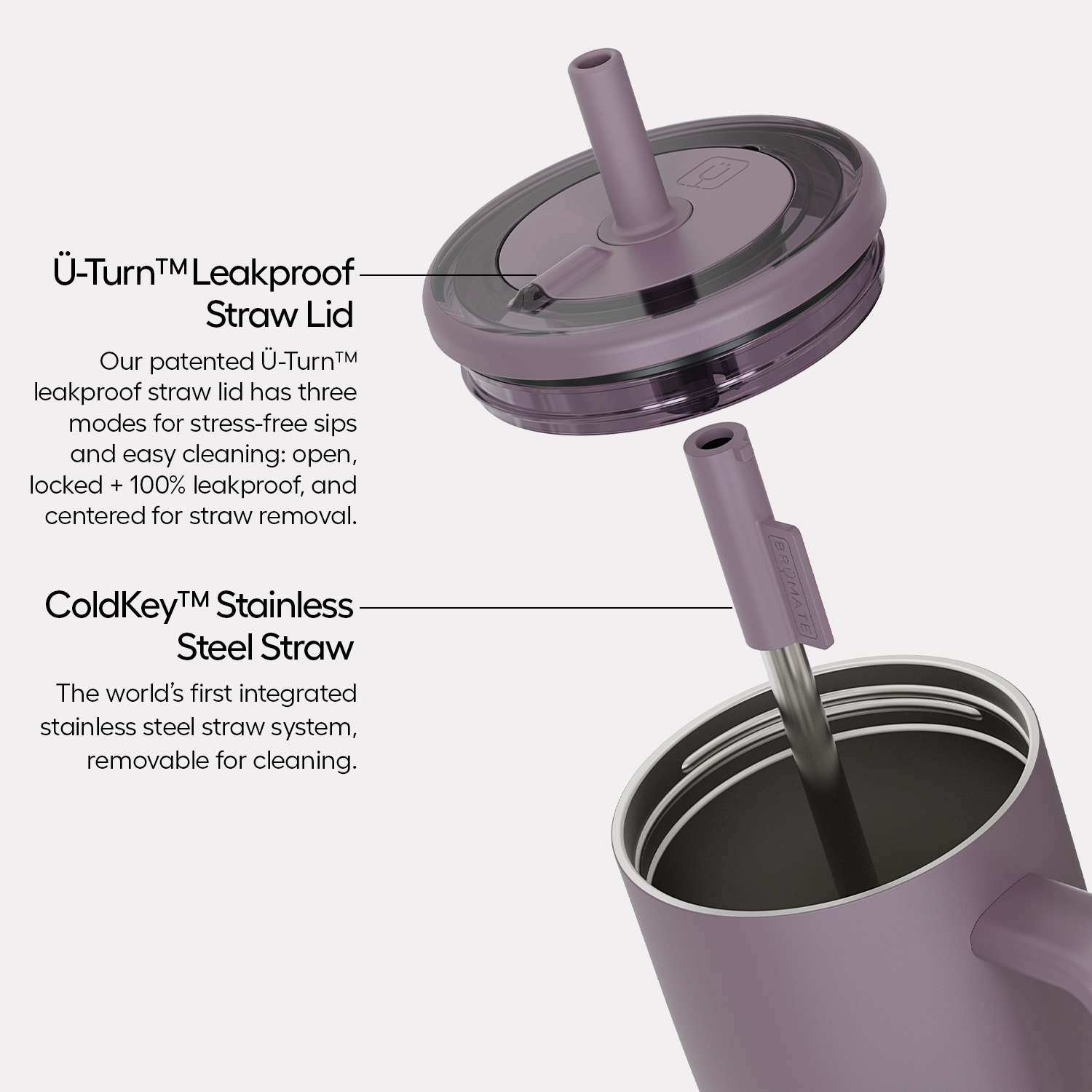 Brumate Era 30oz - Bows