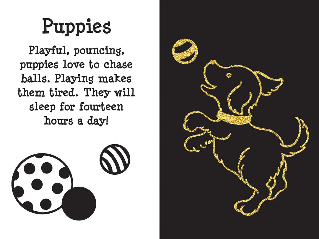 Scratch and Sketch Furry Friends Art Activity Book