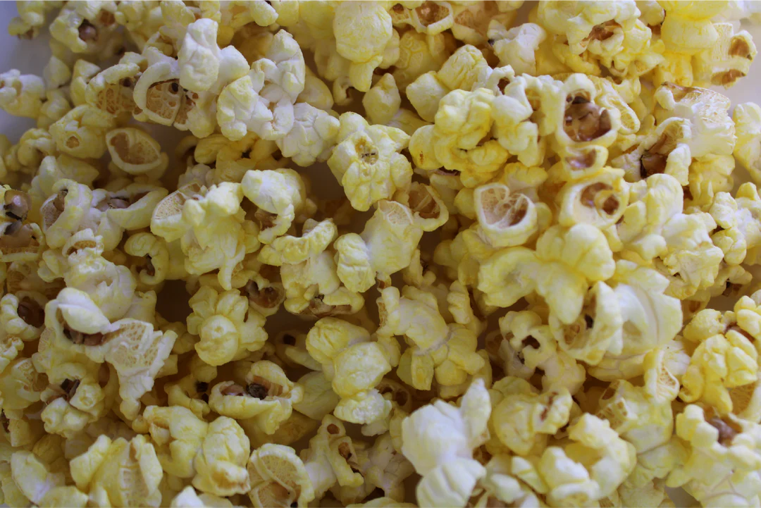 Bear Food Popcorn - Buttered Black Truffle