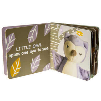 Mary Meyer Leika Little Owl Board Book