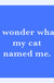 Drinks on Me Coasters-Cat Named Me Coastar