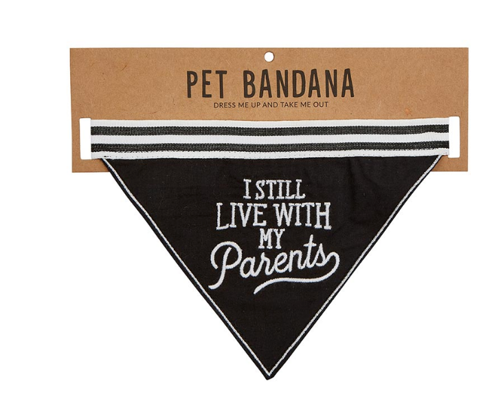 Creative Brands Pet Bandana Still Live With Parents