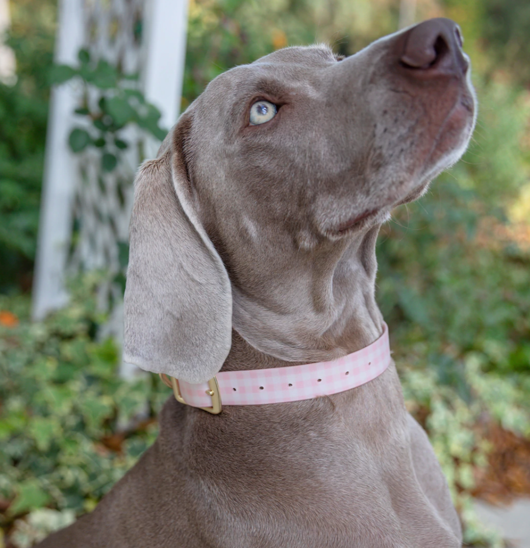 Large Dog Collar - Gathered Goods Blush