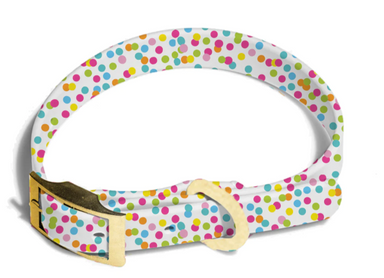 Mary Square Large Dog Collar - ASWN Confetti