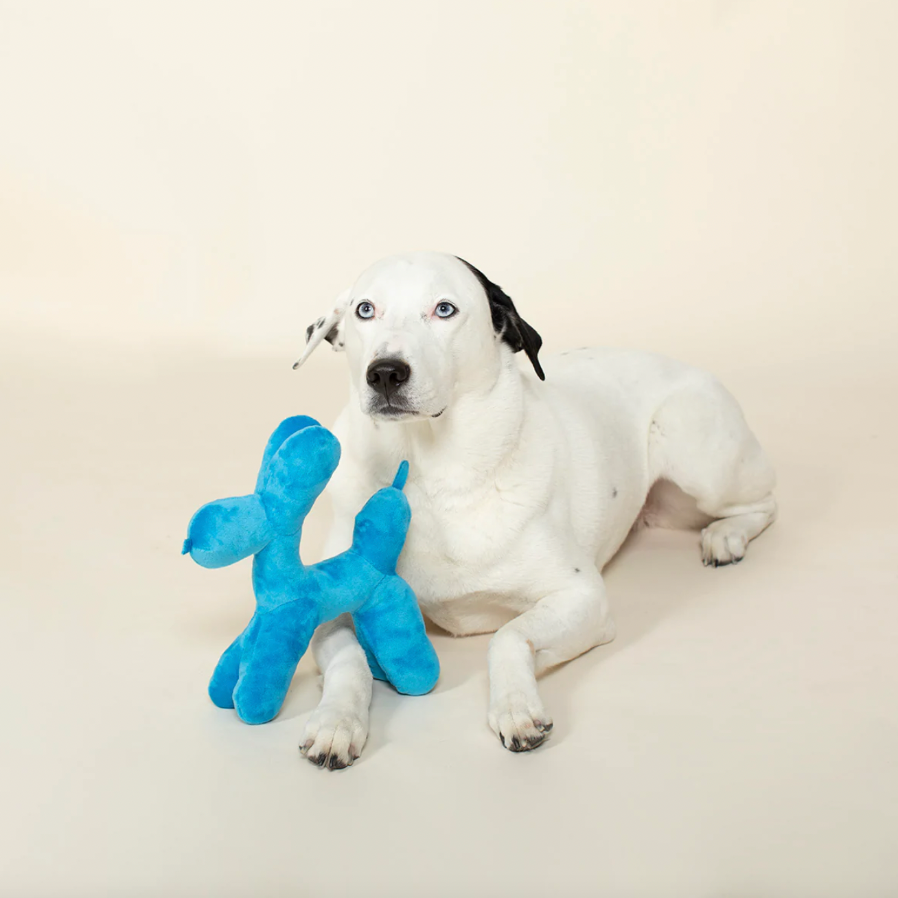 Fringe Studio Balloon Animal Dog Toy