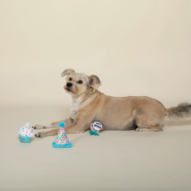 Fringe Studio Happy Bark-Day! Set of 3 Mini Dog Toys