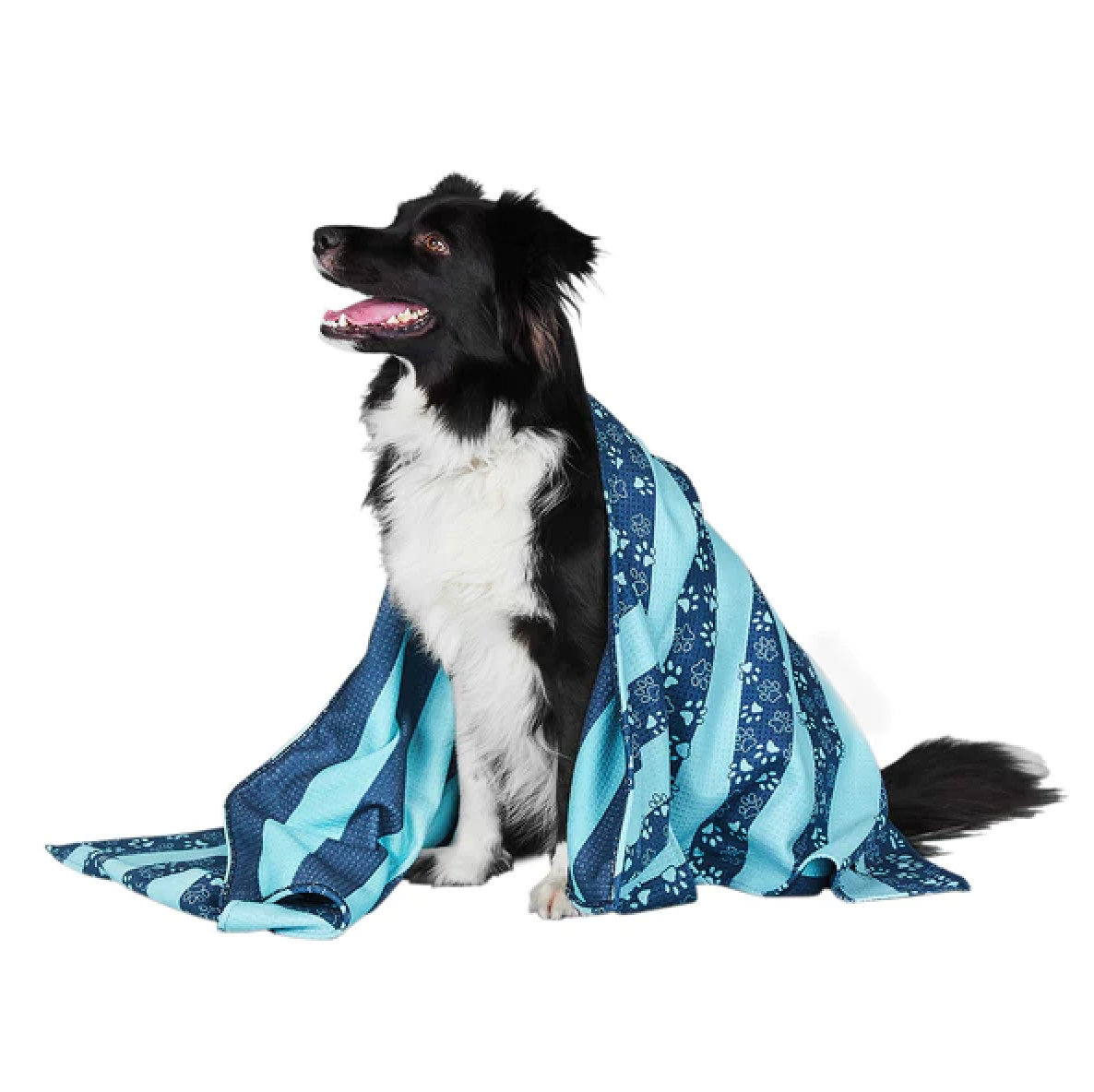 Dog & Bay Quick Dry Pet Towel - Dog Days