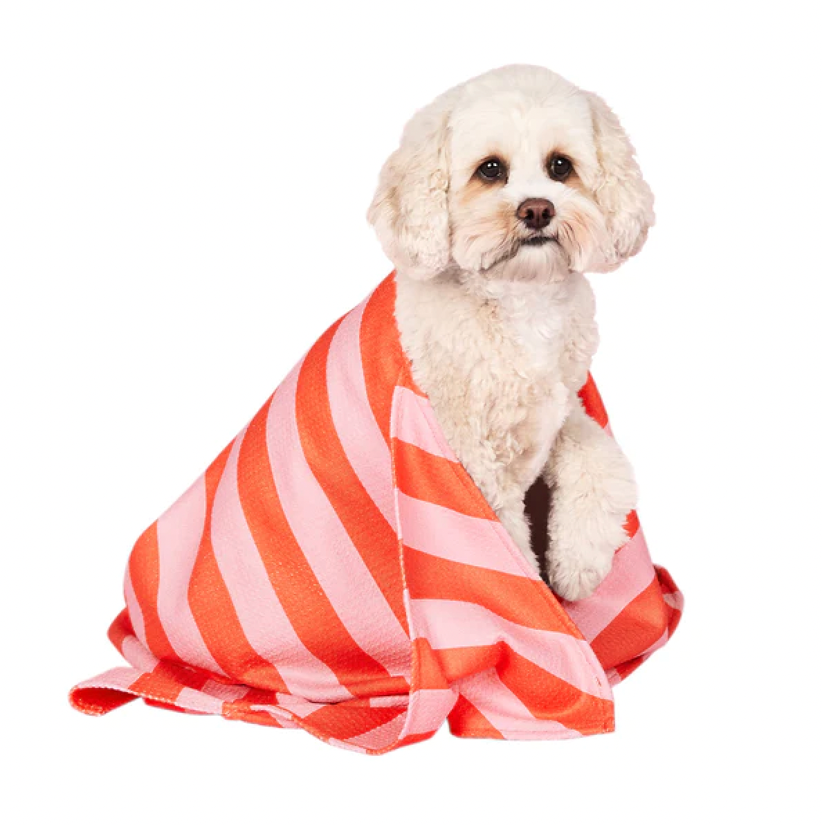 Dog & Bay Quick Dry Pet Towel - Canine Coral