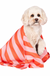 Dog & Bay Quick Dry Pet Towel - Canine Coral