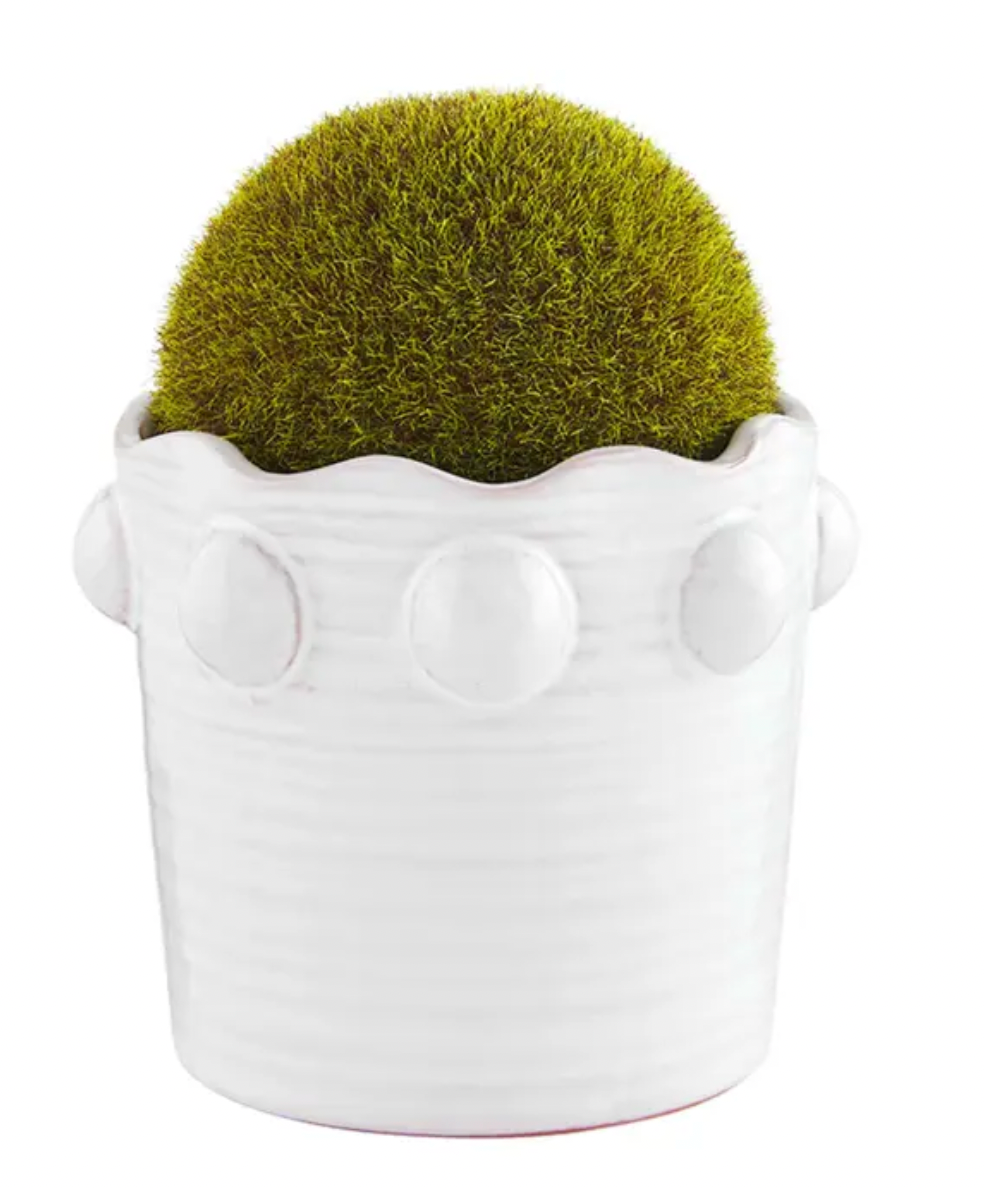 Mud Pie Small Beaded Faux Moss Pot