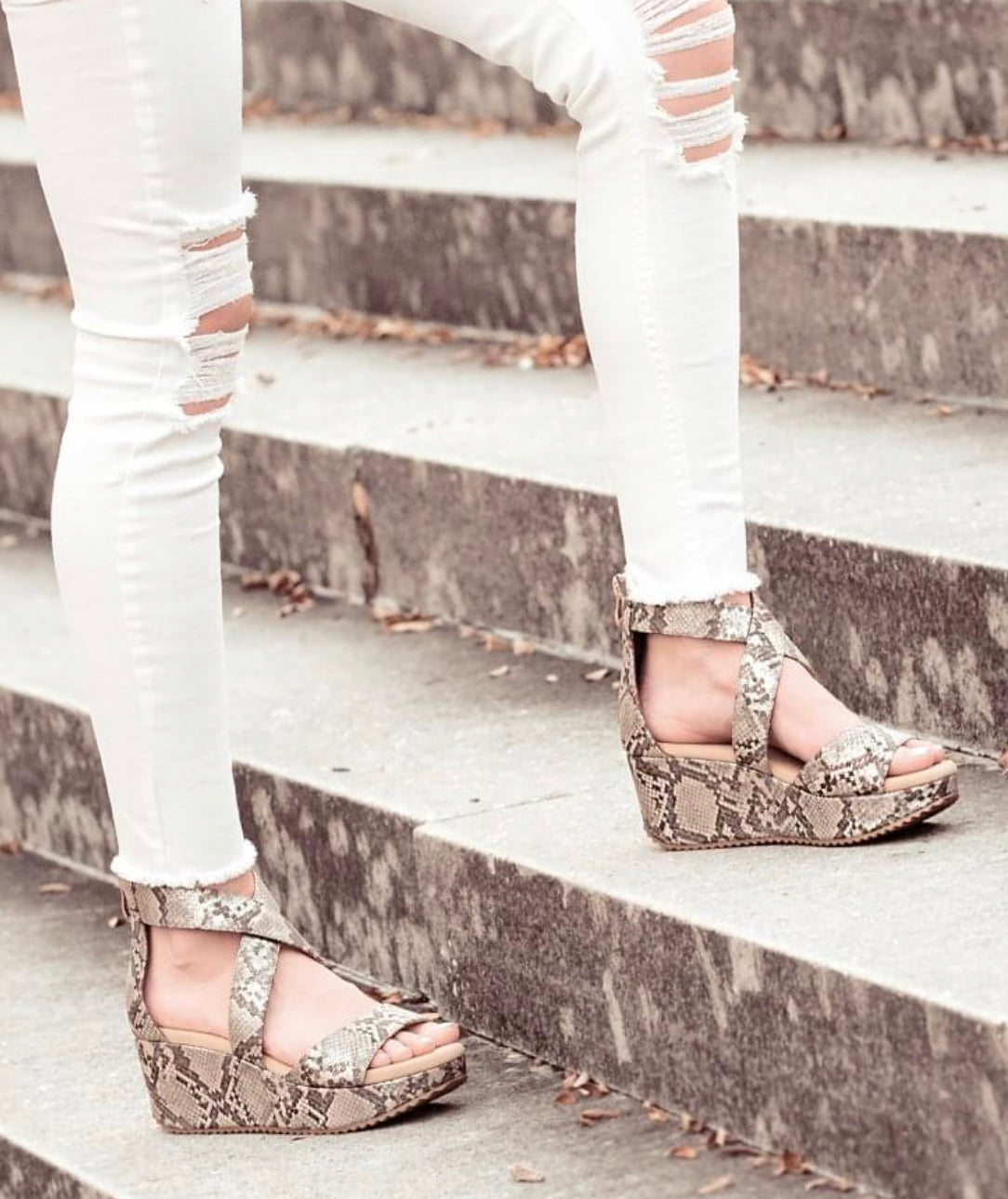 Corky's Fay Taupe Snakeskin Wedge