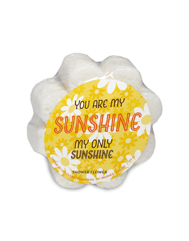 Caren Sponges- You Are My Sunshine