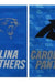 Evergreen Garden Flags - Carolina Panthers Glitter Suede