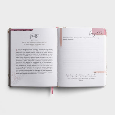 DaySpring 100 Days Of Believing Bigger Devotional Journal